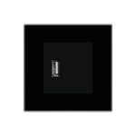 Priza USB + Blank cu Rama din Sticla LUXION - imagine 2