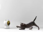 Jucarie inteligenta pentru pisici Petoneer Smart Dot, Control aplicatie, Programare, Alimentare USB - imagine 4