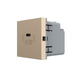 Modul Priza USB Tip C Livolo - Serie Noua